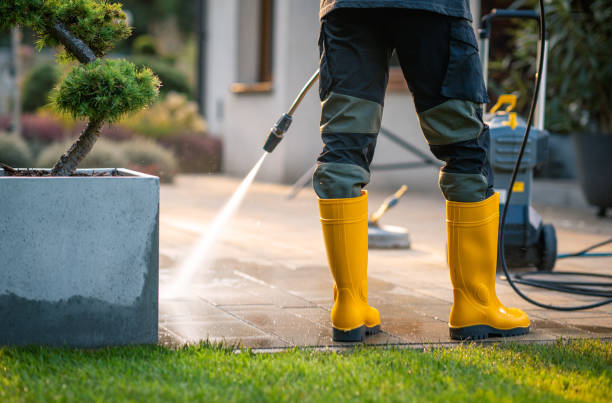 Best Pressure Washing Company Near Me  in Prospect Park, NJ
